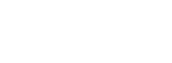 Consejos de Seguro
